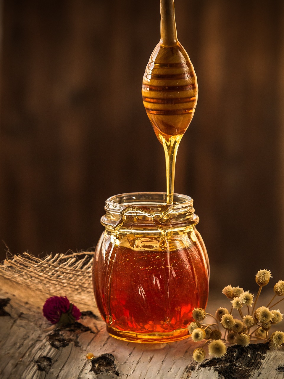 The Medicinal Potential of Sundarban Honey: Sweet wellness Therapy